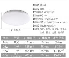 博爾美吸頂燈32W 單色白光