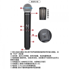 柏飛利無線麥克風(fēng) 雙接收器雙網(wǎng)頭話筒 TA58A一拖一