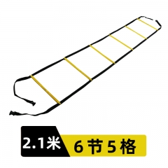 固定拼接敏捷梯6節(jié)5格2.1米