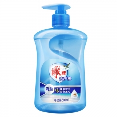 雕牌 抑菌洗手液(海鹽) 500ml