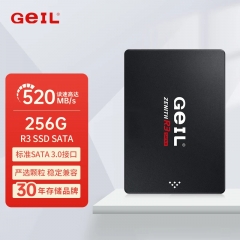 GEIL金邦 R3 SSD固態(tài)硬盤 2.5英寸SATA3接口256G SATA